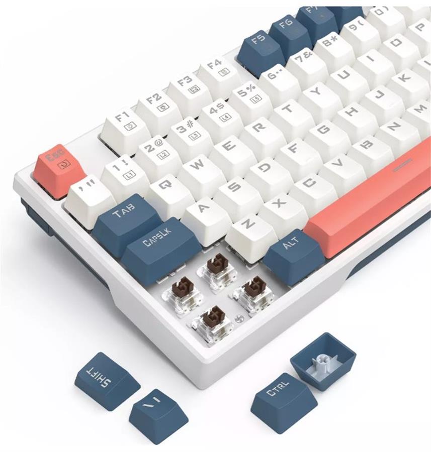 Teclado Mecanico GAMER Redragon TRUNDLE K668WBO-RGB-SP